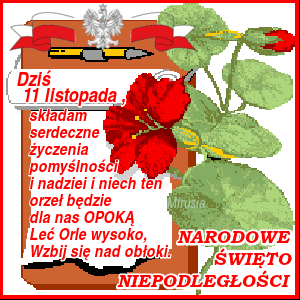 Czerwone kwiaty 11 listopada